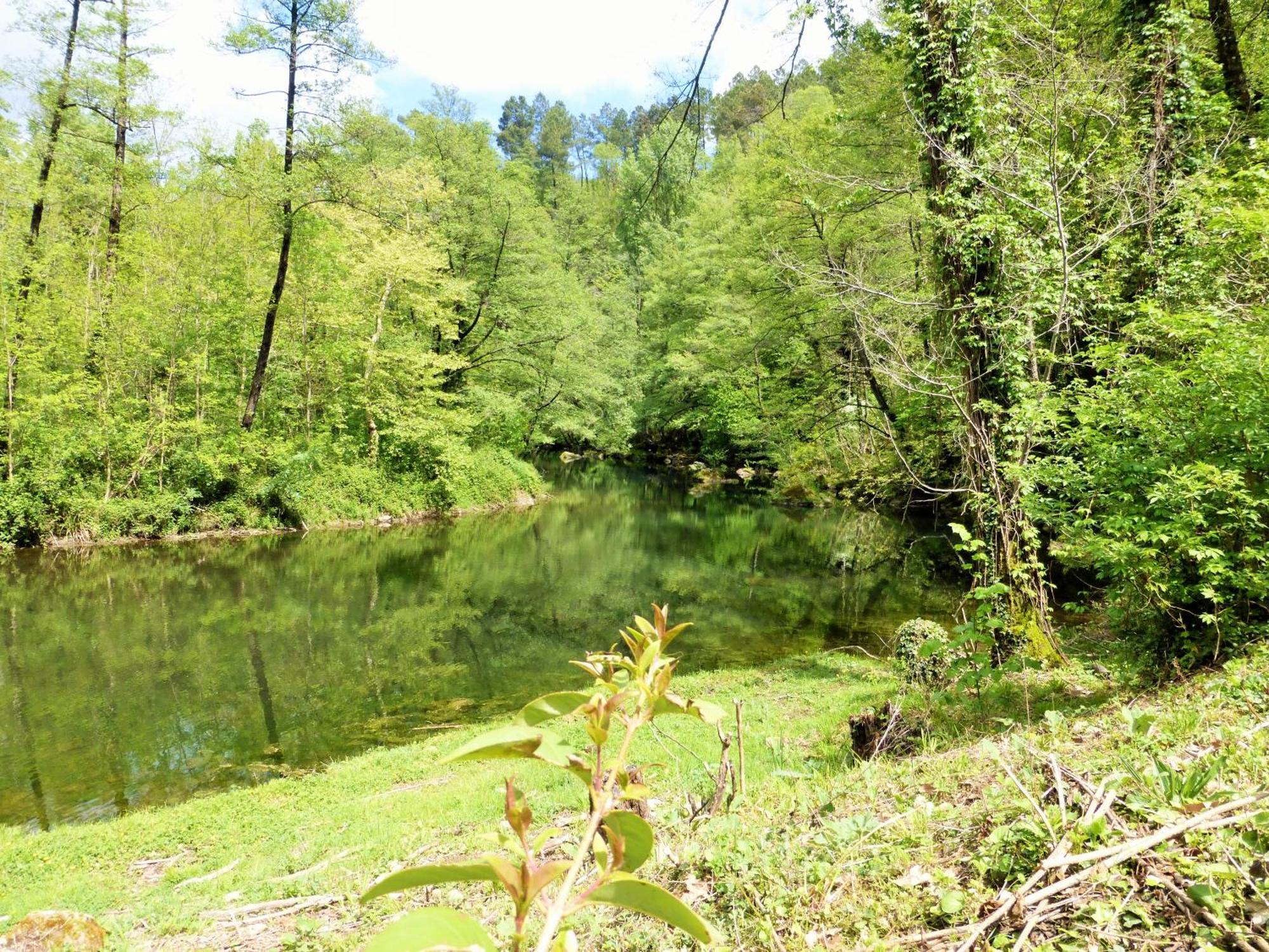 Chateau Du Fraissinet, 6 Gites Sleeping 2-8 Guests, Pool And River On Site La Tronche  Exteriör bild