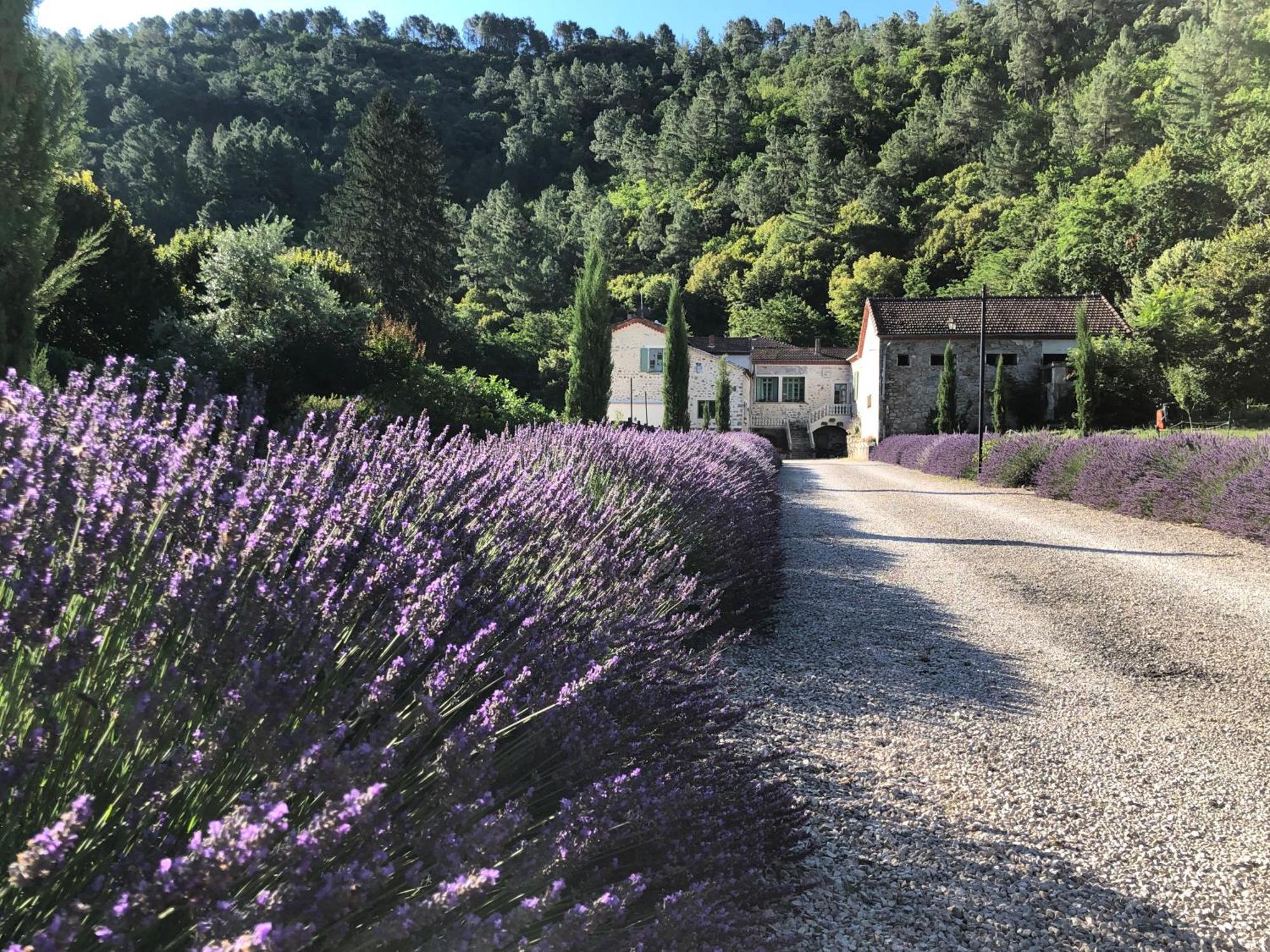 Chateau Du Fraissinet, 6 Gites Sleeping 2-8 Guests, Pool And River On Site La Tronche  Exteriör bild